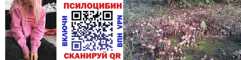 mega вход  Истра  Псилоцибиновые грибы MAGIC MUSHROOMS 