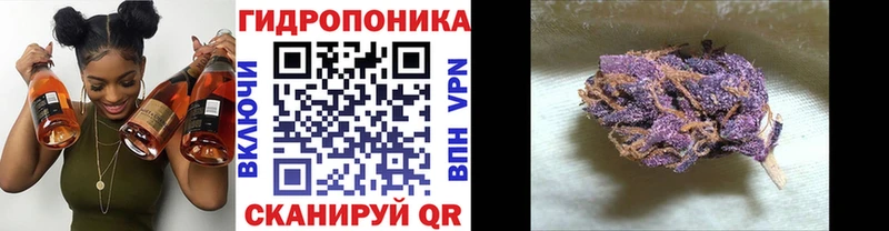 Бошки Шишки MAZAR  где купить наркоту  Истра 